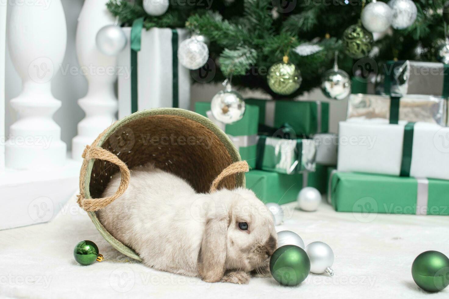 een Kerstmis met hangende oren konijn zit in een mand met ballonnen onder de Kerstmis boom foto