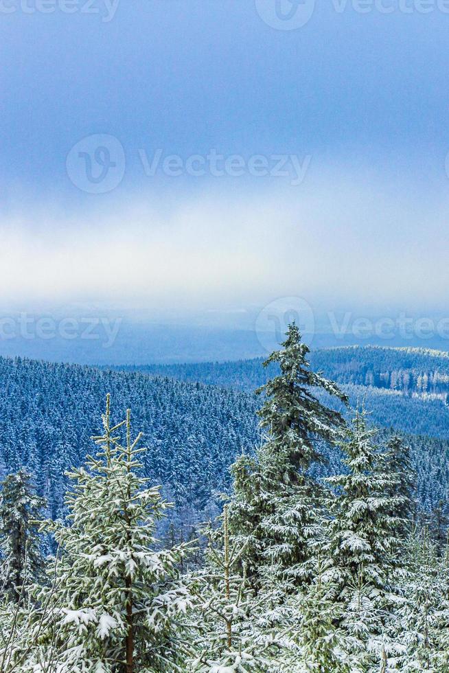 besneeuwd in ijzige sparren landschap brocken berg harz duitsland foto