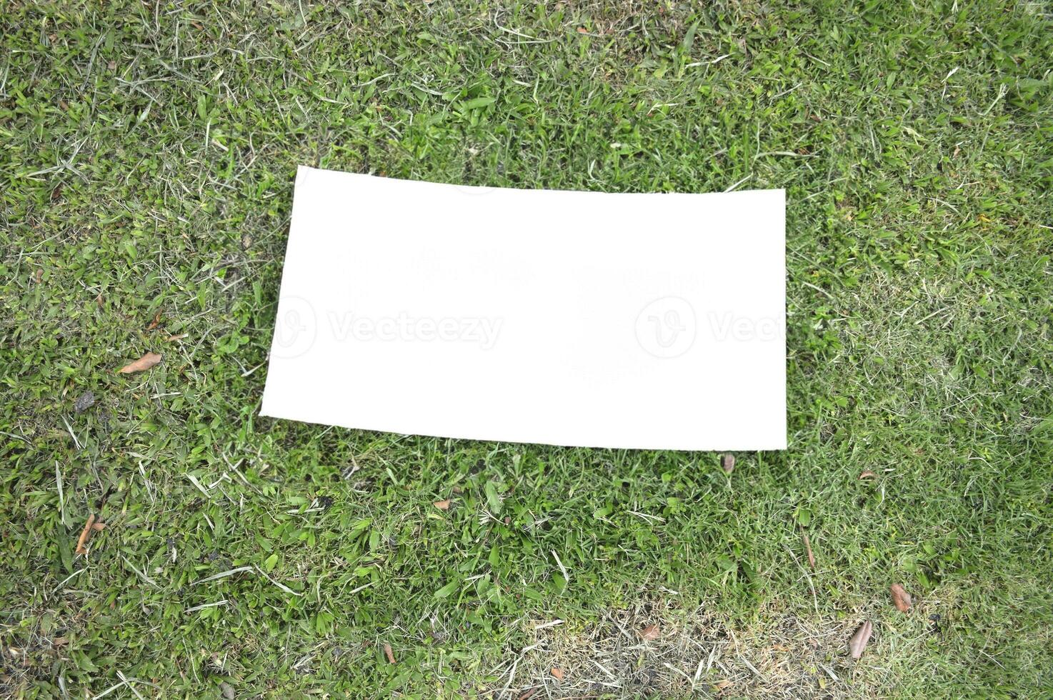 groen gras Aan een papier foto