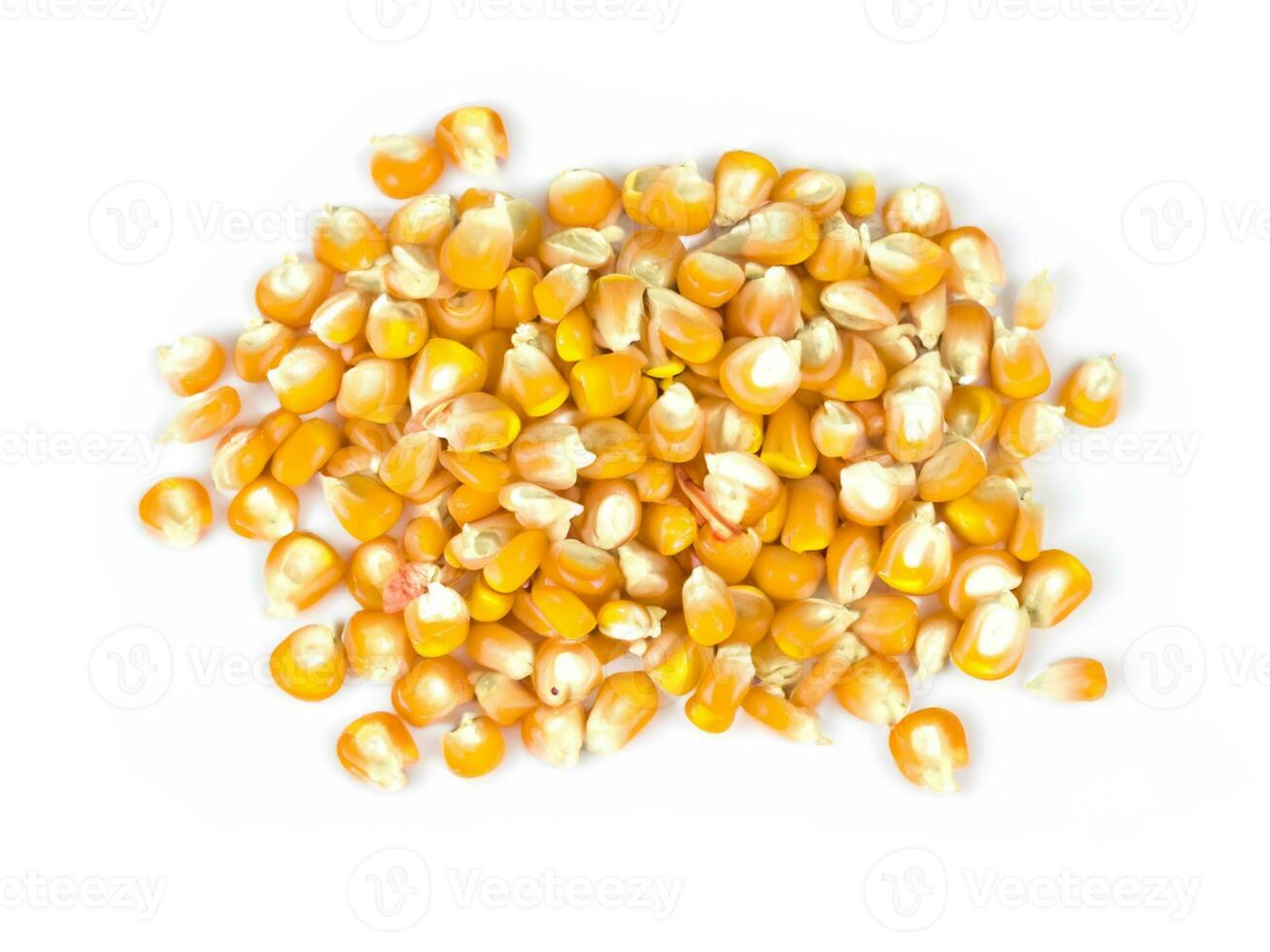 stapel van maïs pitten geïsoleerd Aan wit achtergrond foto
