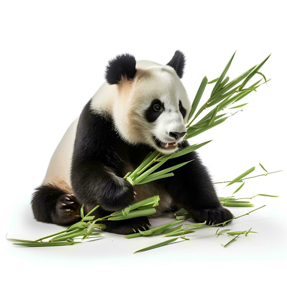 een panda aan het eten bamboe Aan een geïsoleerd wit achtergrond, ai generatief foto