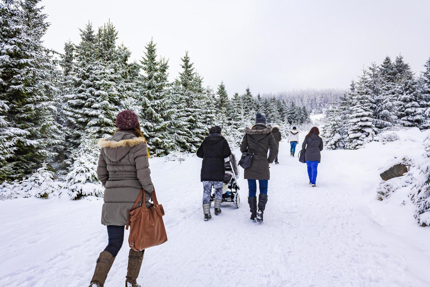 harz, duitsland 2014- wandelaars in ingesneeuwd landschap foto