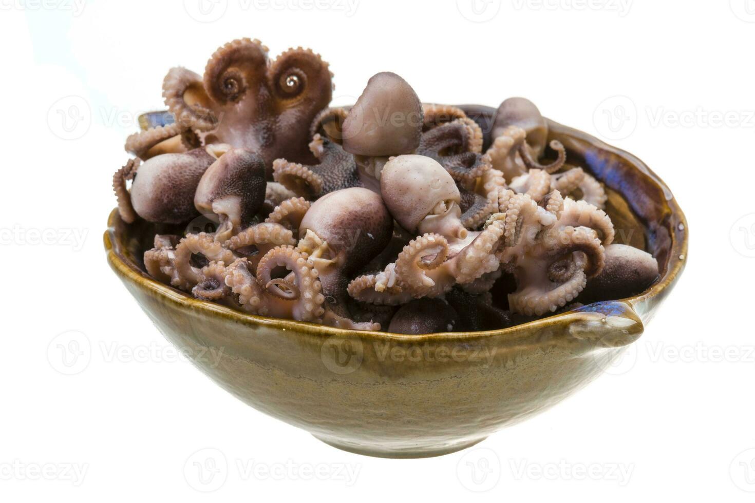 gekookt Octopus geïsoleerd Aan wit foto