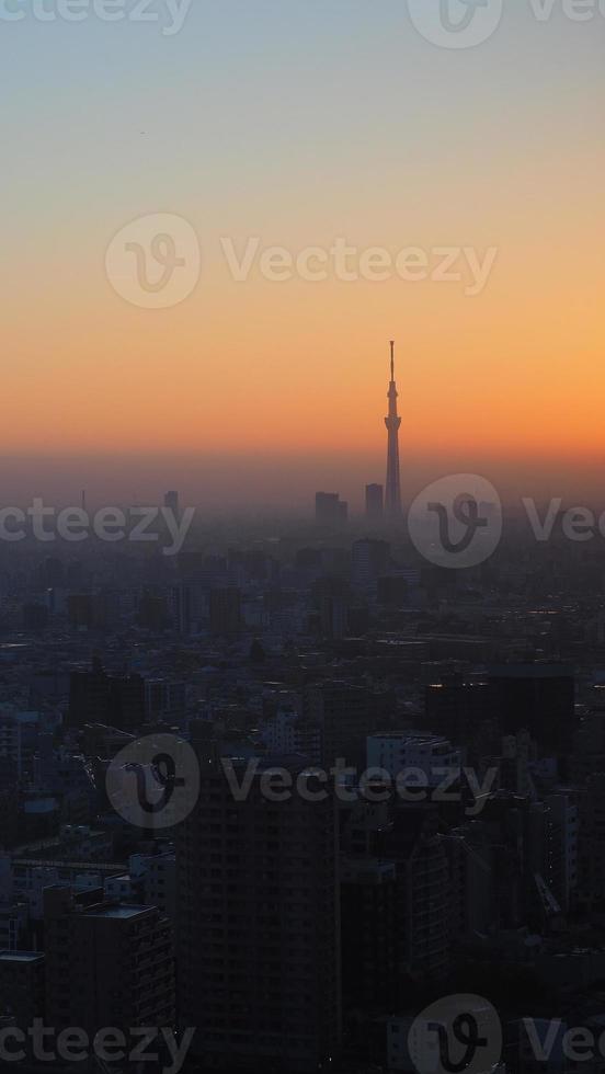 luchtfoto van Tokyo City foto