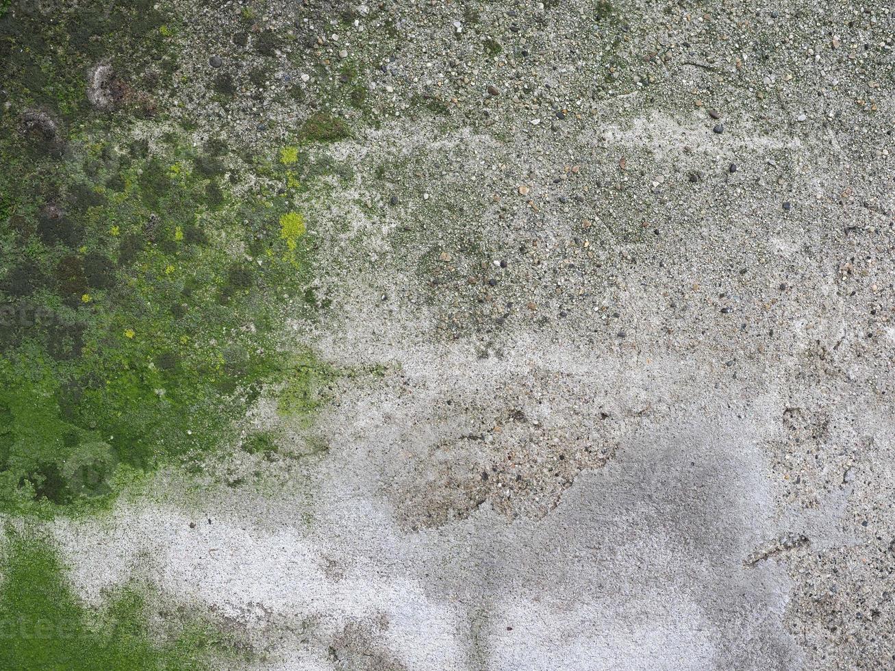 verweerde betonnen muur met groene mosachtergrond foto