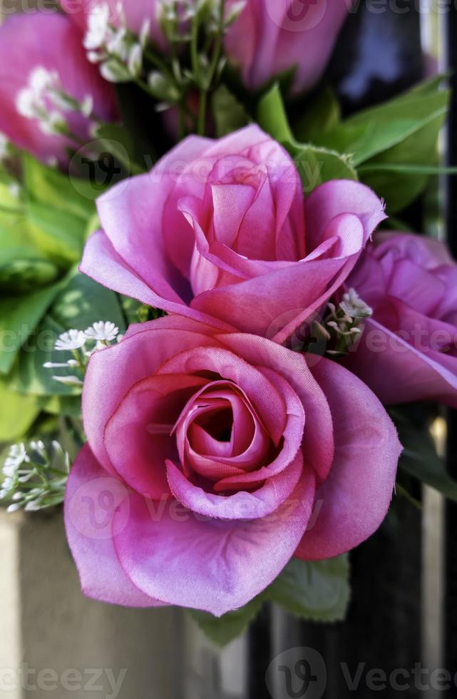 roze bloemen op een begraafplaats foto