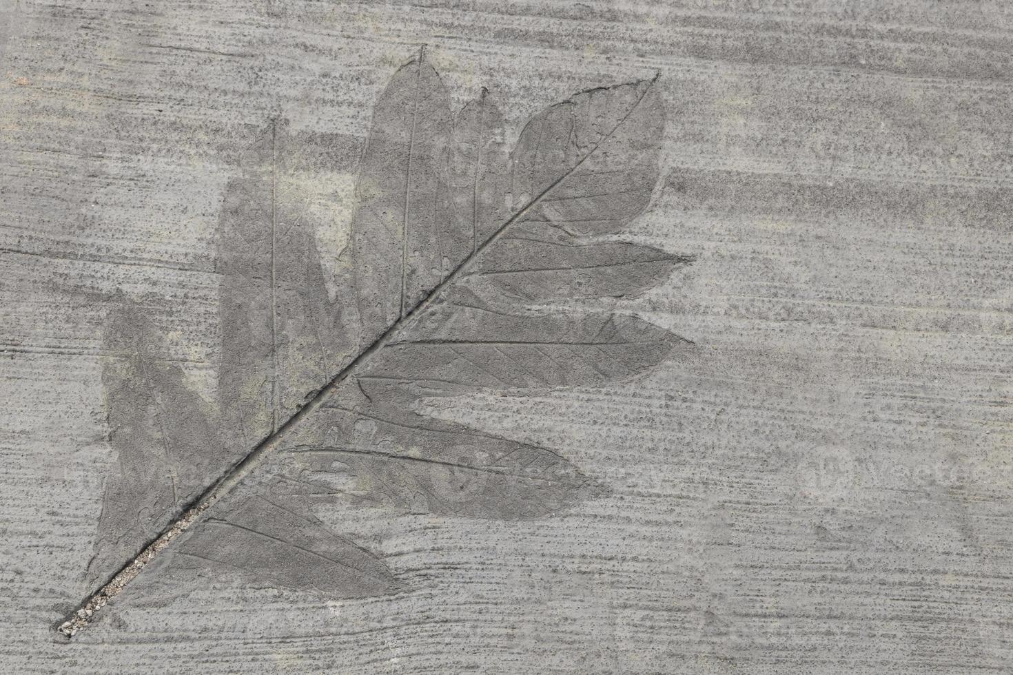 ingelegd blad in beton op de stoep. foto