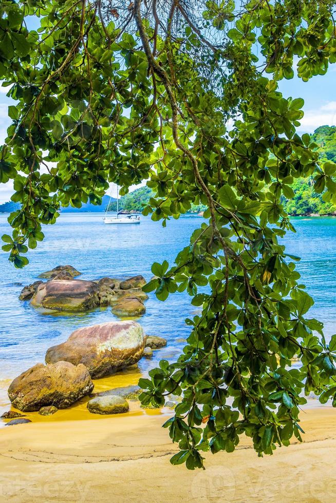 mangrove en pouso strand op tropisch eiland ilha grande brazilië. foto