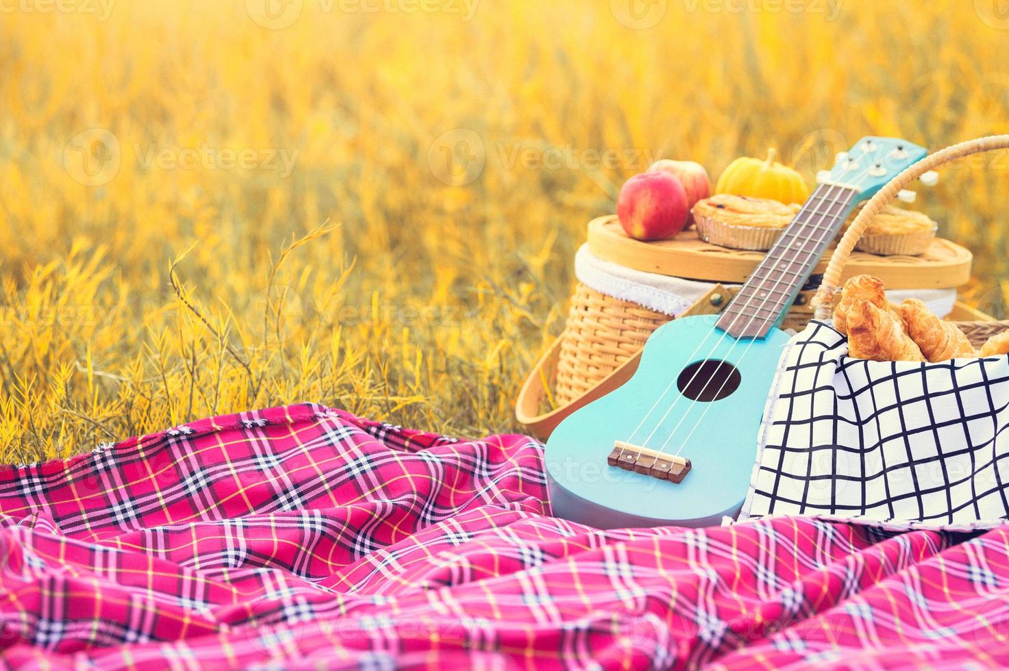 picknick rekwisieten in de herfst weide veld. ukelele gitaar foto