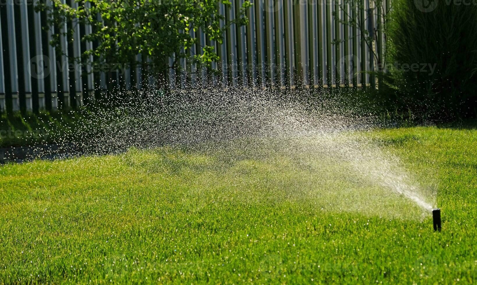 automatisch tuin irrigatie systeem gieter gazon met verstelbaar hoofd. automatisch uitrusting voor irrigatie en onderhoud van gazons, tuinieren. foto