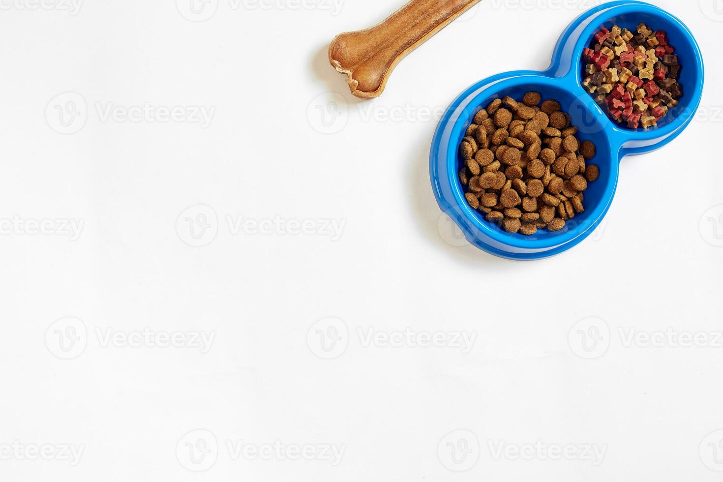 droog huisdier voedsel in kom en bot Aan wit achtergrond top visie foto