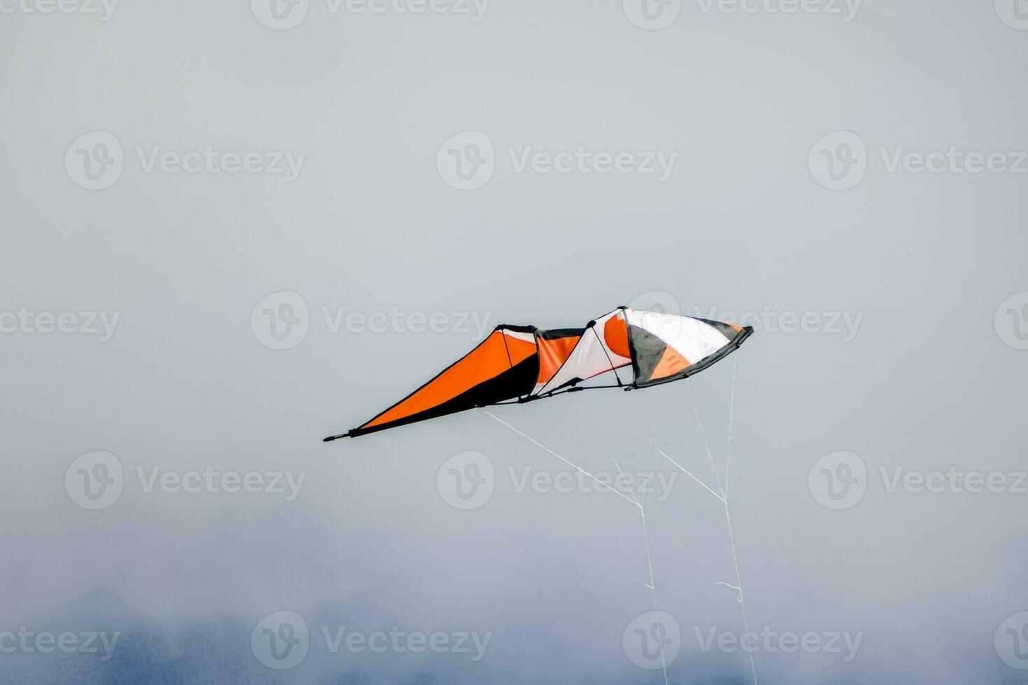 een vlieger vliegend in de lucht foto