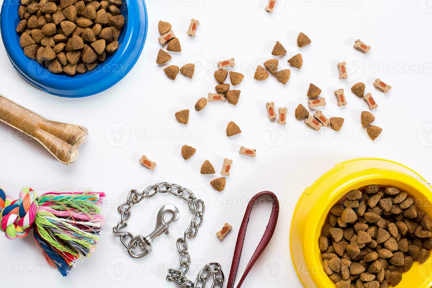 halsband, blauw kom met voer, riem en lekkernij voor honden. geïsoleerd Aan wit achtergrond foto