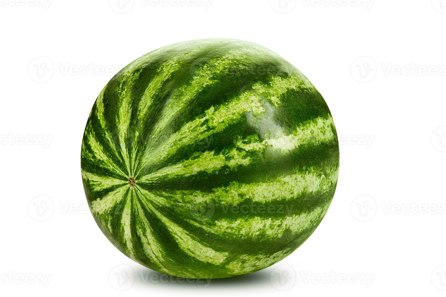 groente, gestreept watermeloen geïsoleerd Aan wit achtergrond met kopiëren ruimte voor tekst of afbeeldingen. kant visie. detailopname schot. foto