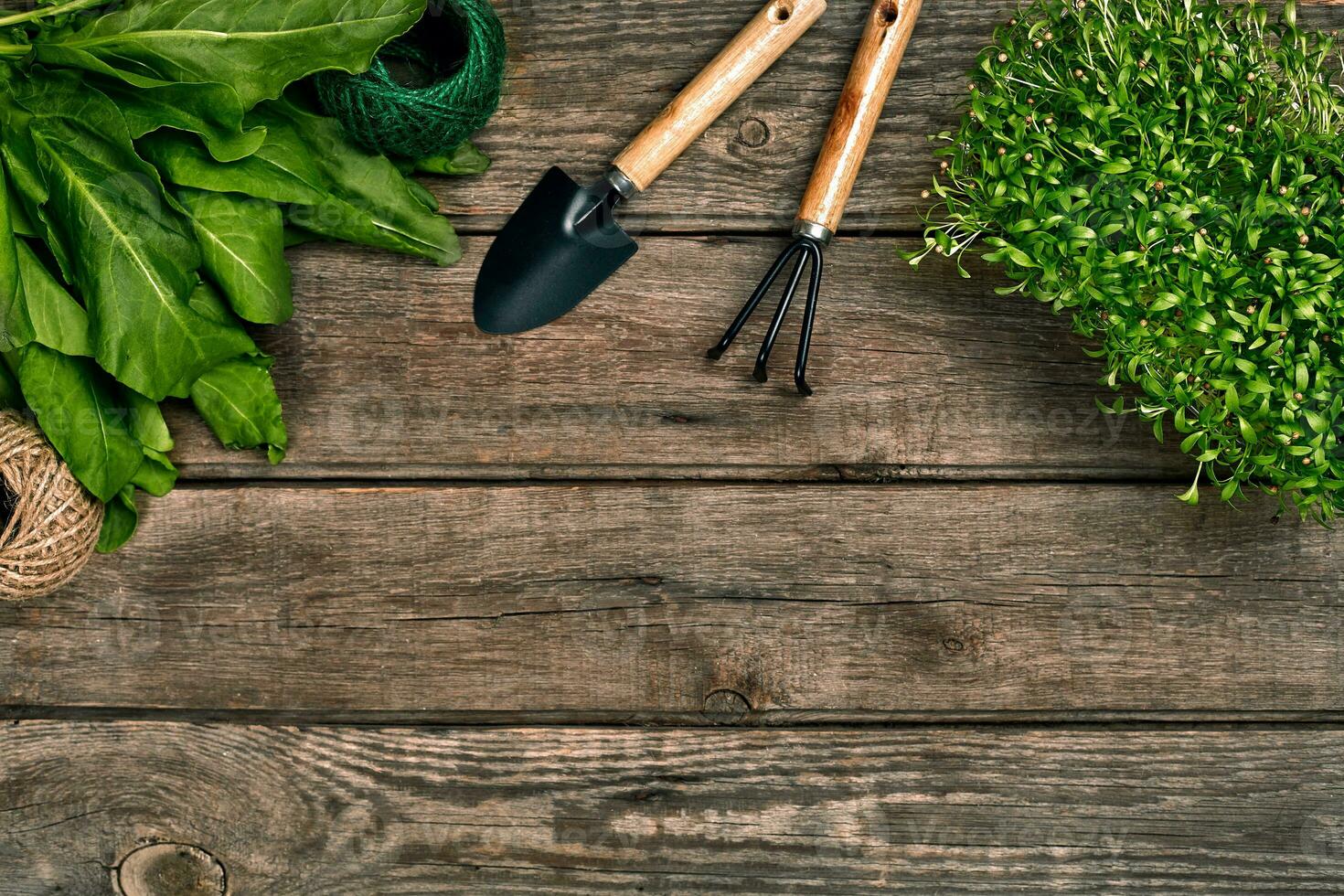 tuinieren gereedschap en groen Aan houten tafel. voorjaar in de tuin foto