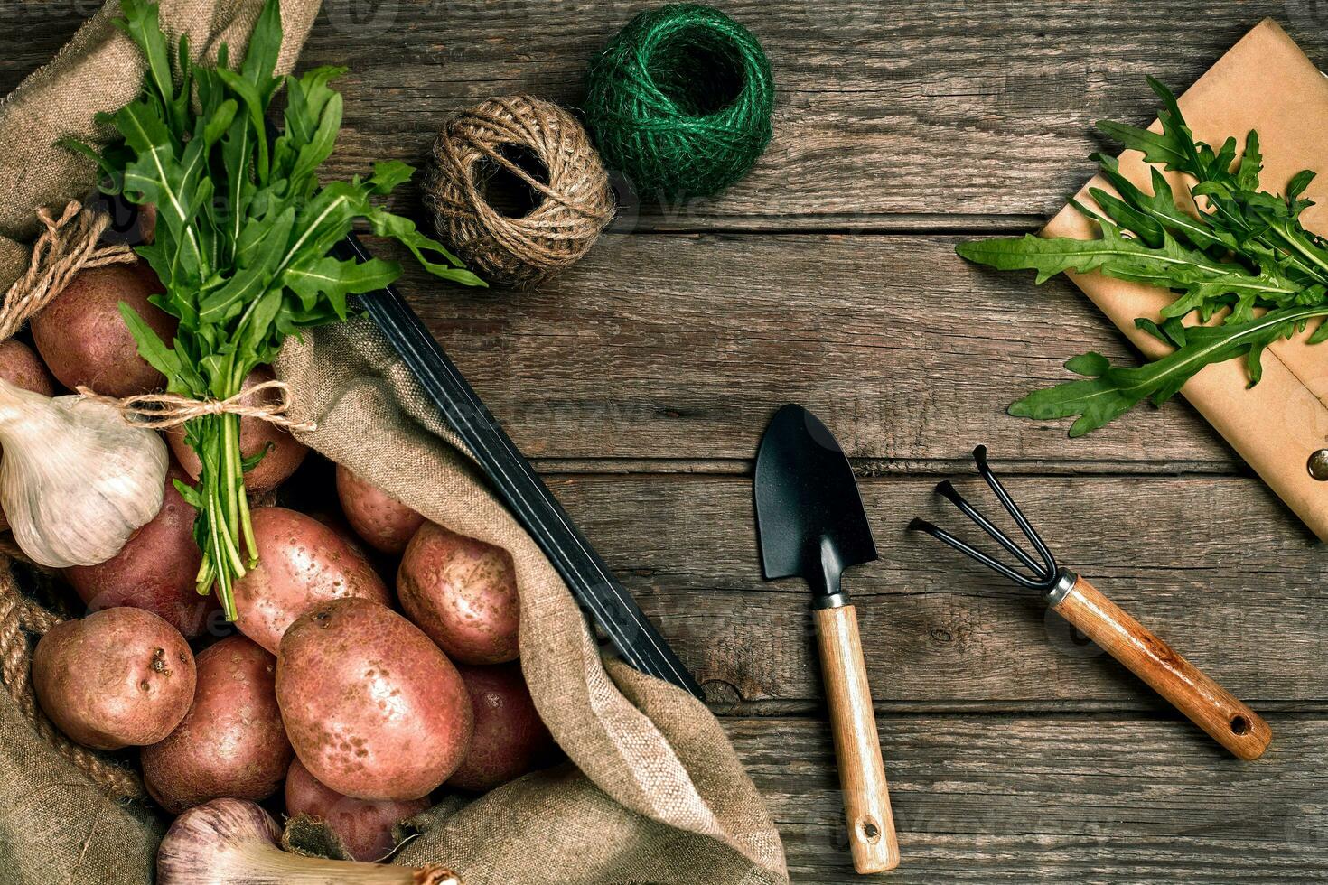 rauw aardappelen in een linnen tas, rucola, knoflook, tuin Schep en hark, voedsel achtergrond, top visie foto