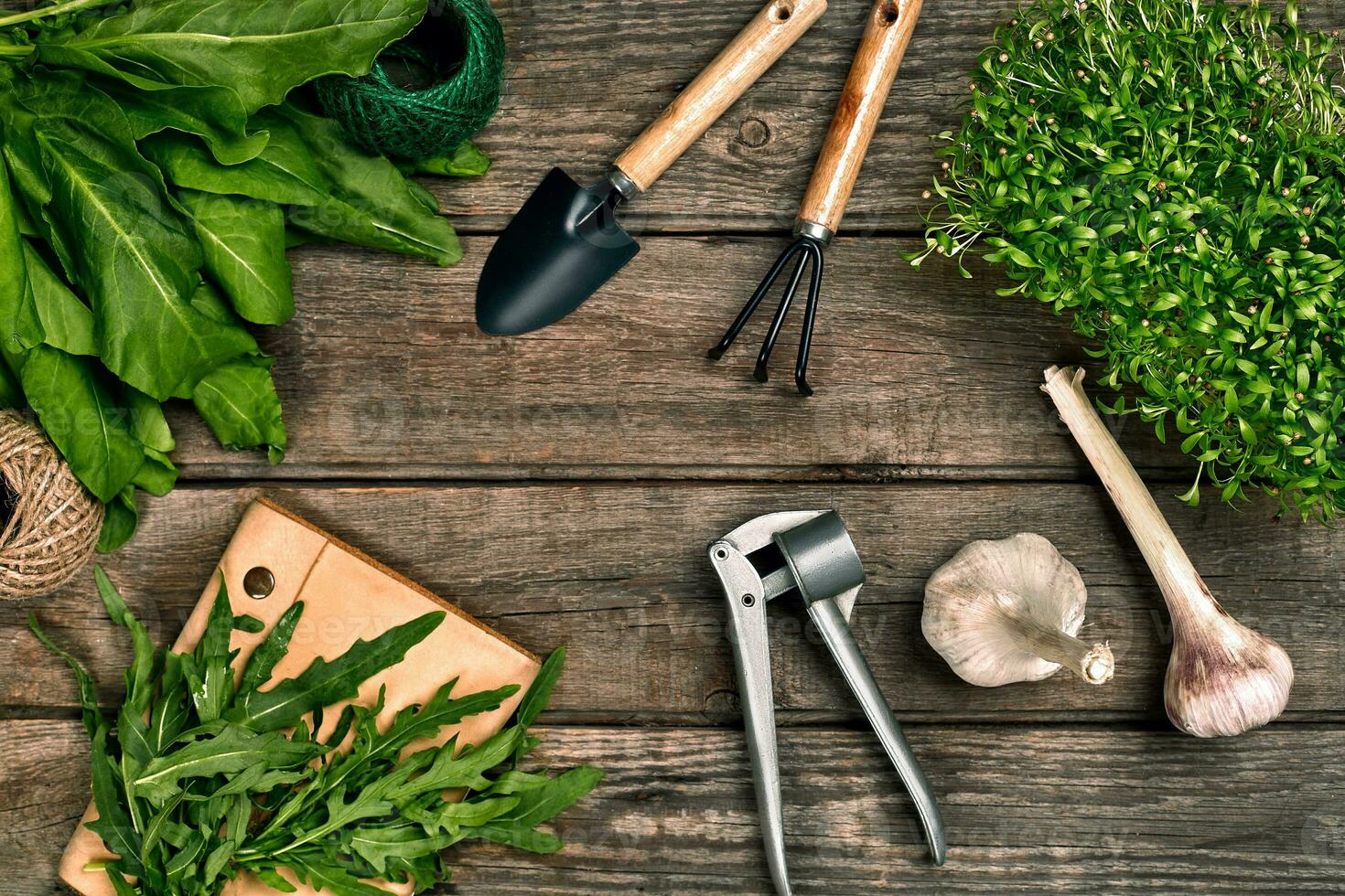 tuinieren gereedschap en groen Aan houten tafel. voorjaar in de tuin foto