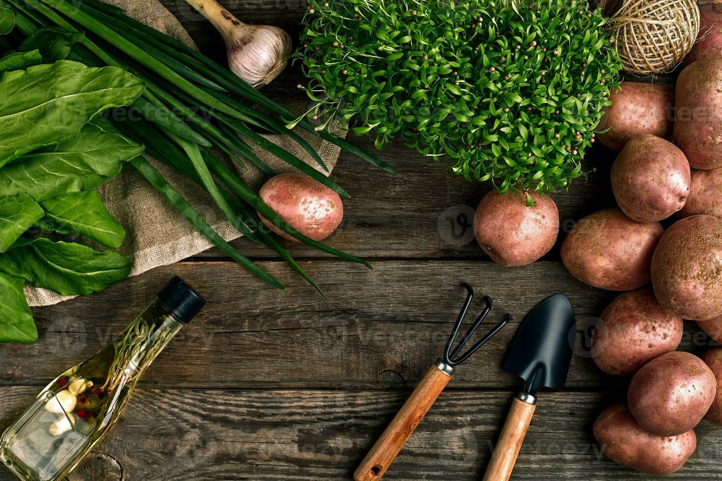 vers aardappelen, olie, knoflook en pittig kruiden Aan een keuken houten achtergrond. vers groenten van uw eigen tuin. foto