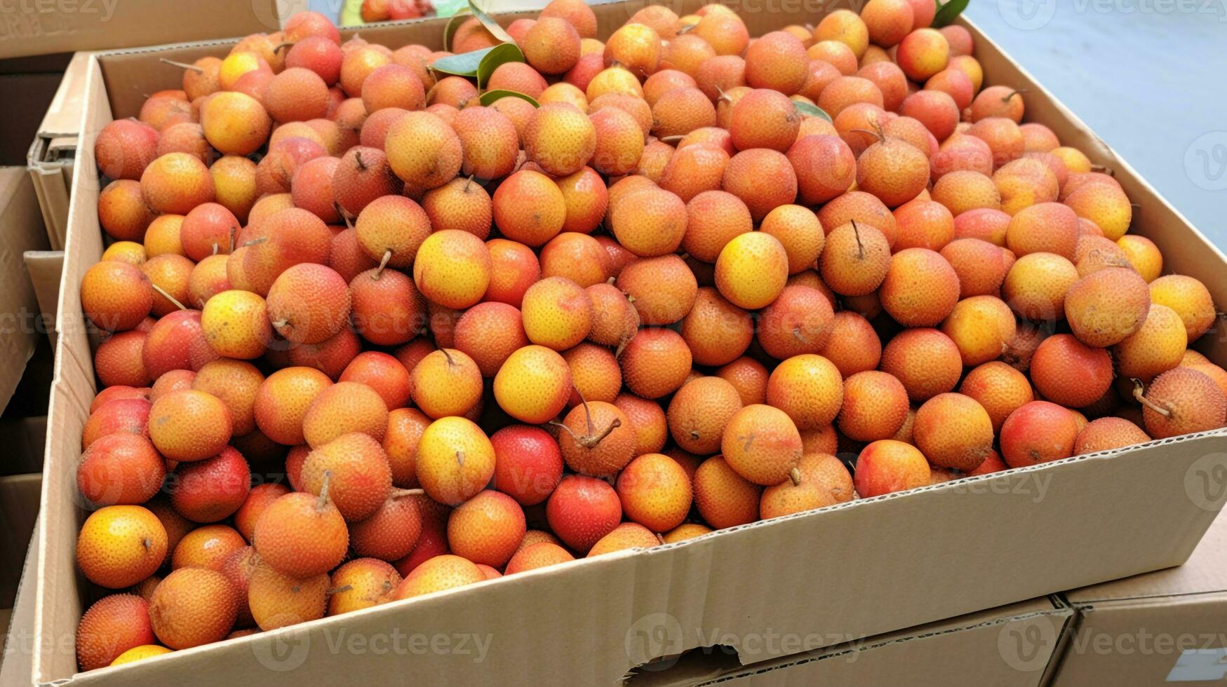 vers geplukt longan fruit van tuin geplaatst in de dozen. generatief ai foto