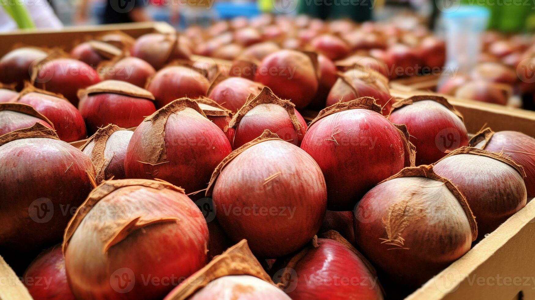 vers geplukt kokosnoot fruit van tuin geplaatst in de dozen. generatief ai foto