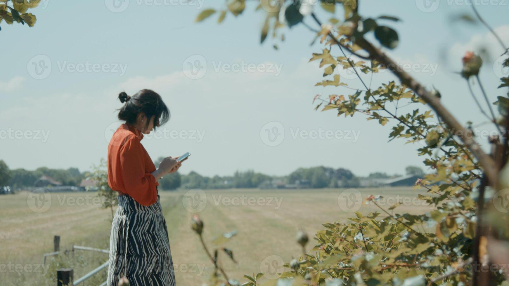 vrouw die in het veld staat te scrollen op smartphone foto
