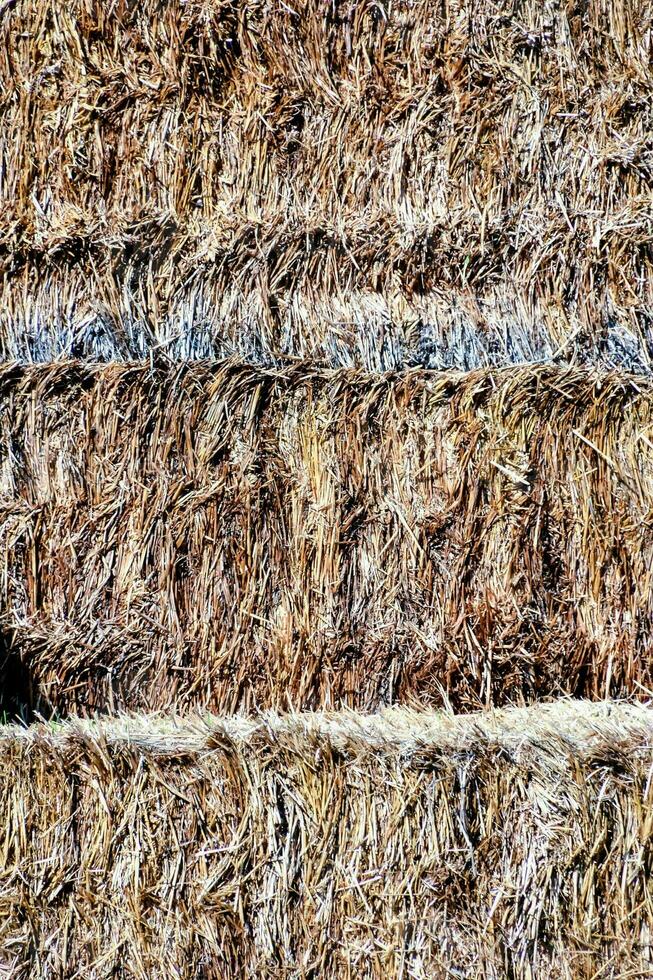 een stack van hooi is getoond in een veld- foto