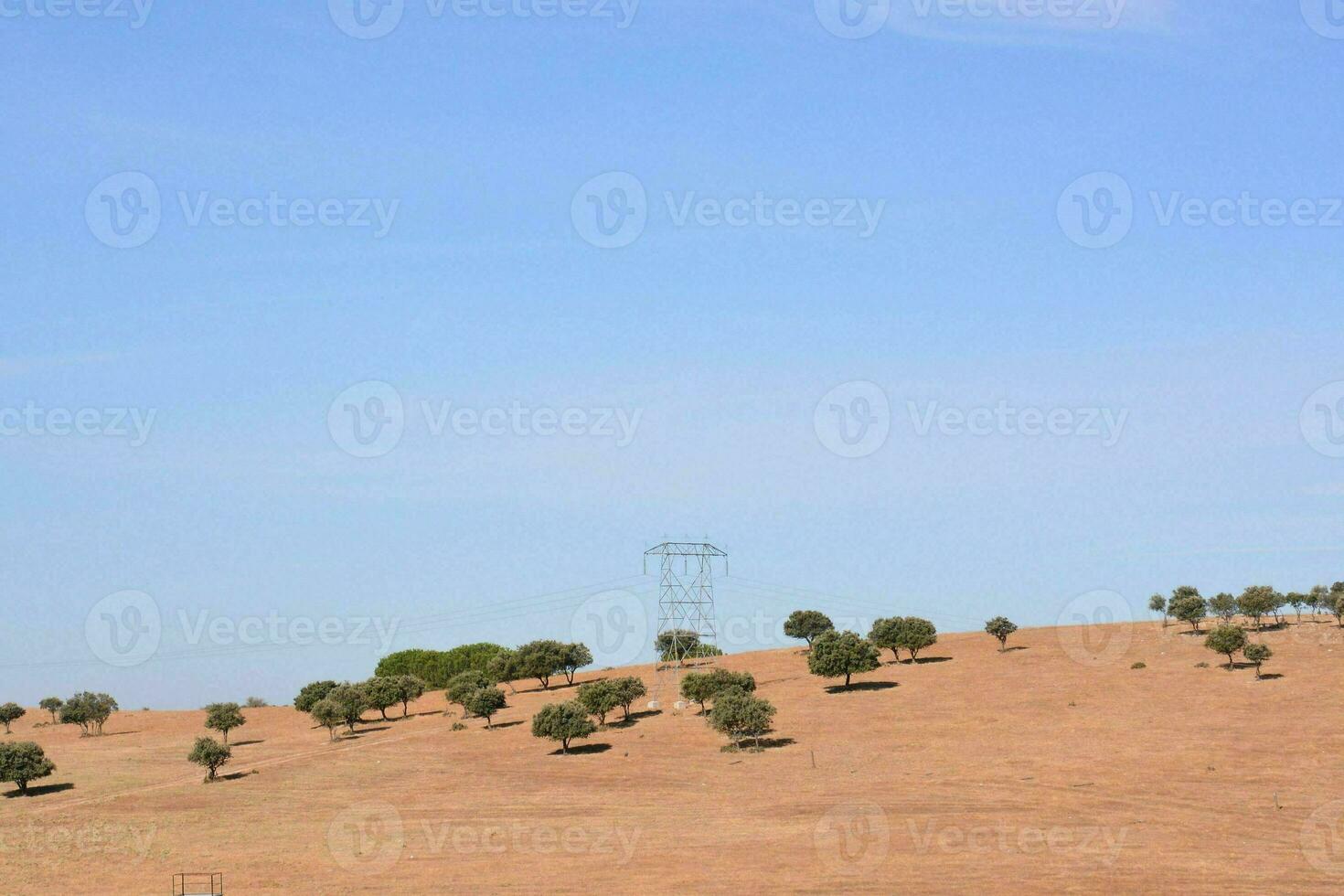 een veld- met bomen en een macht lijn foto