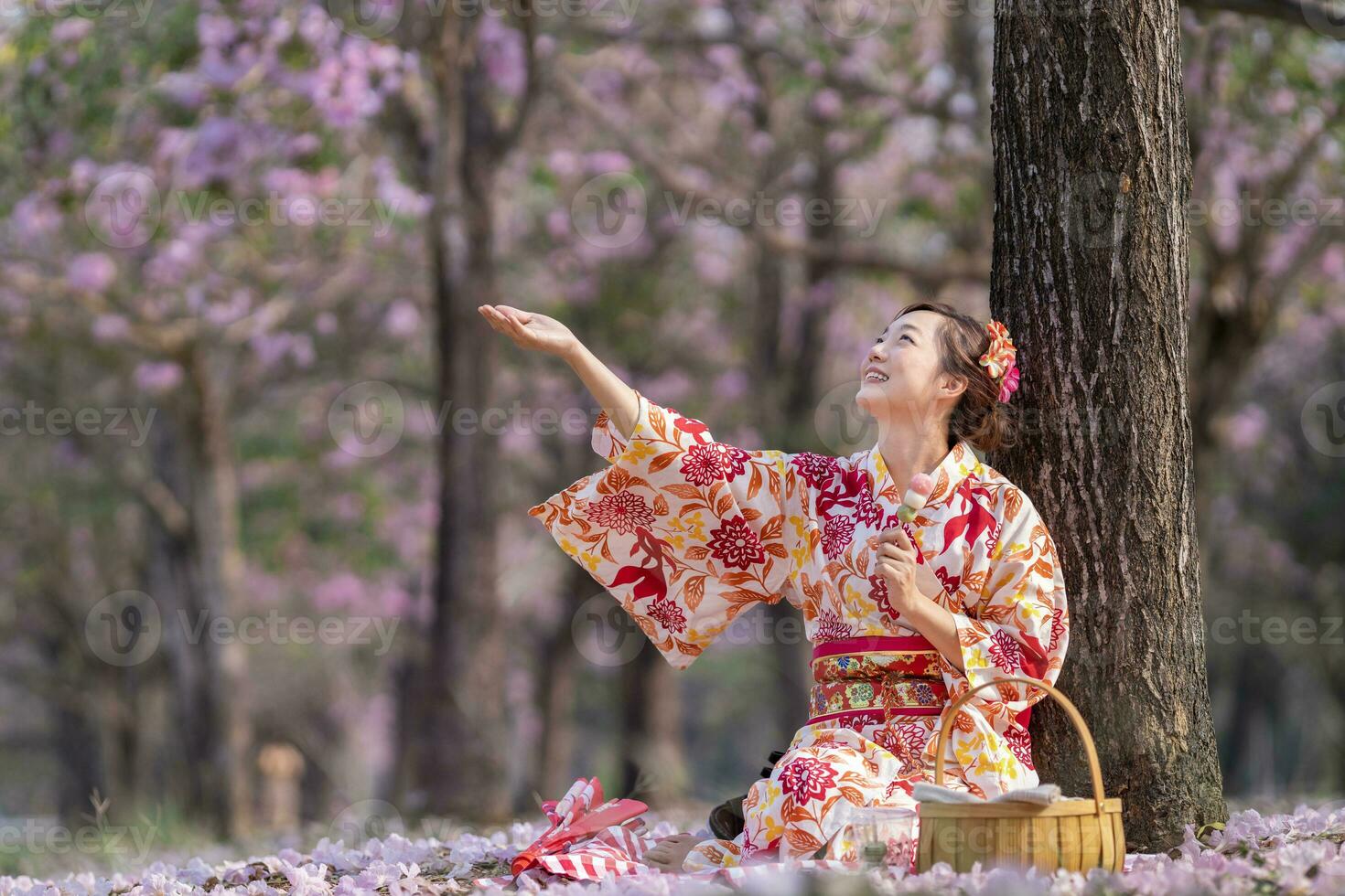 Japans vrouw in traditioneel kimono jurk Holding de zoet Hanami dango toetje terwijl zittend in de park Bij kers bloesem boom gedurende voorjaar sakura festival foto