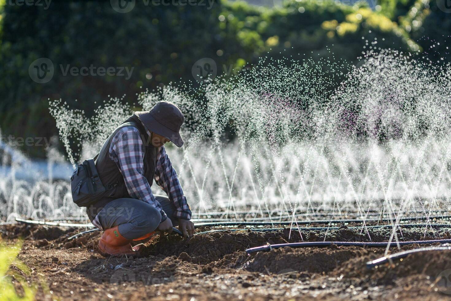 Aziatisch boer is vaststelling de verstopt in de slang van irrigatie gieter systeem groeit organische stoffen fabriek gedurende voorjaar seizoen en landbouw concept foto