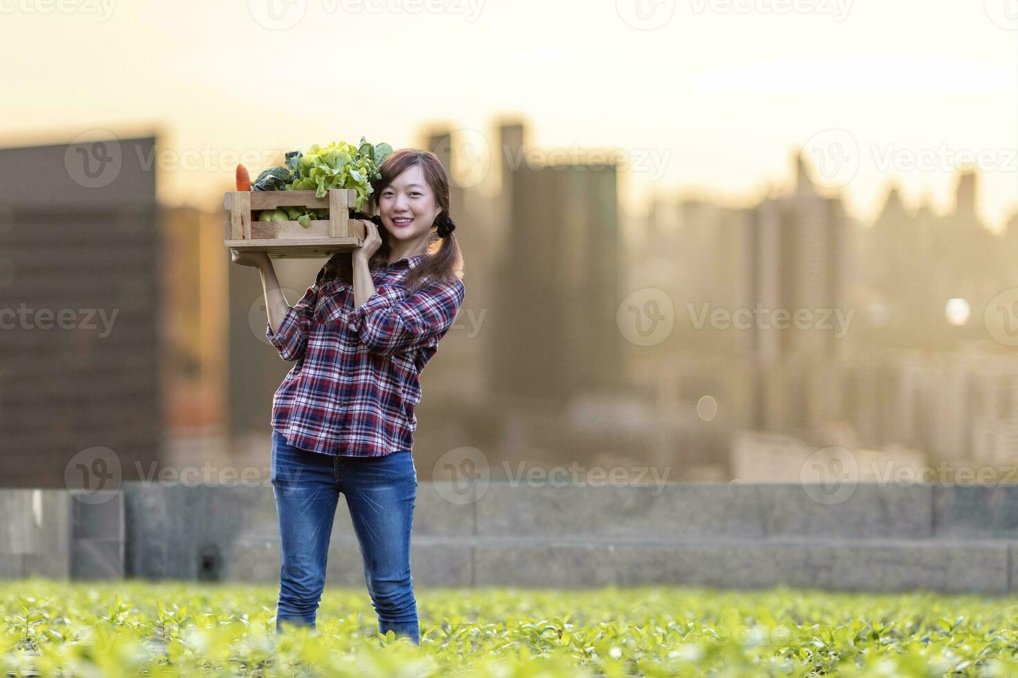 Aziatisch vrouw tuinman is oogsten organische stoffen groenten terwijl werken Bij op het dak stedelijk landbouw voor stad duurzame tuinieren Aan beperkt ruimte naar verminderen koolstof voetafdruk verontreiniging en voedsel veiligheid foto