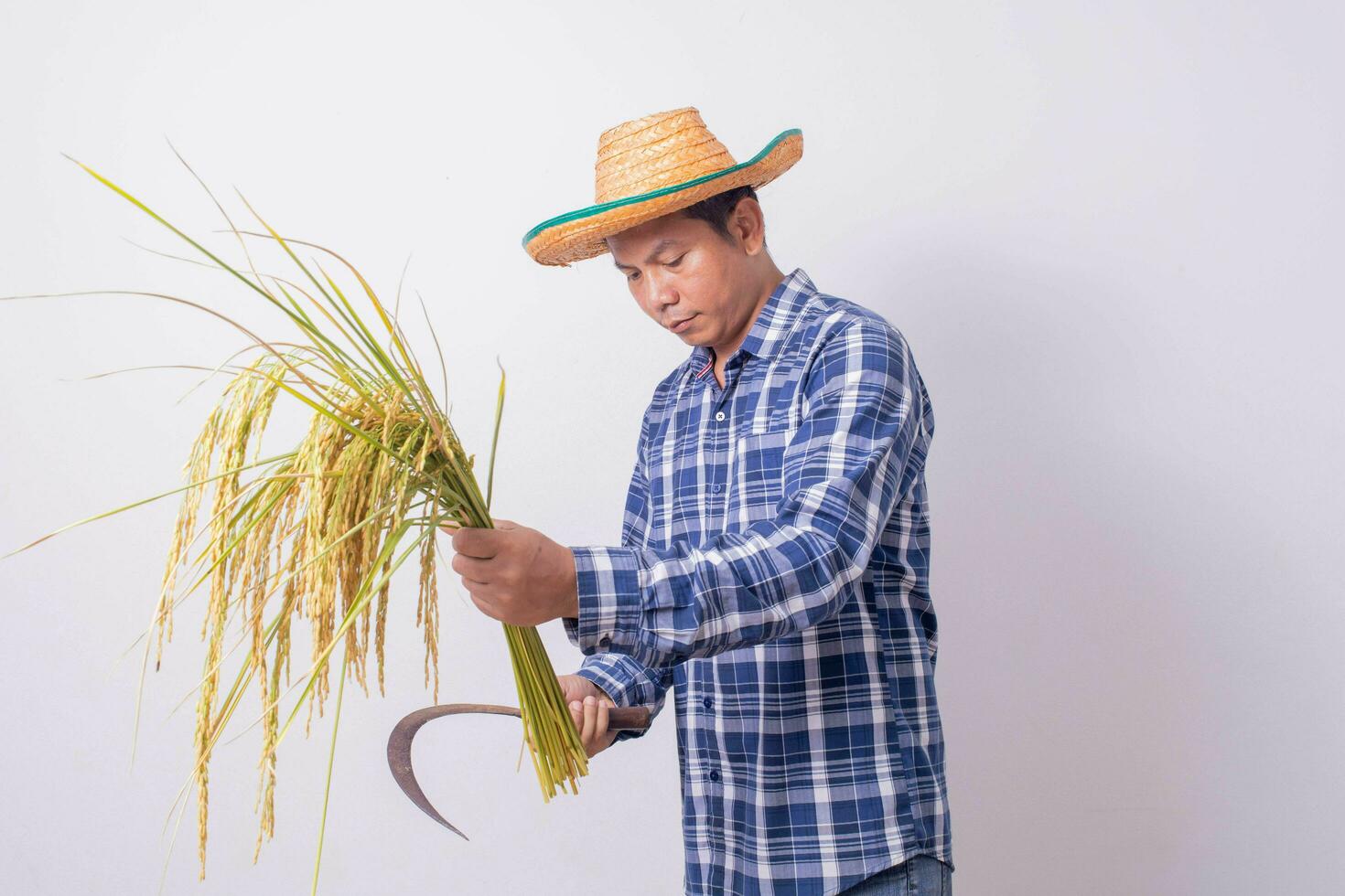 Aziatisch boer in een gestreept overhemd Holding een sikkel en oogsten rijst- granen Aan een wit achtergrond. foto