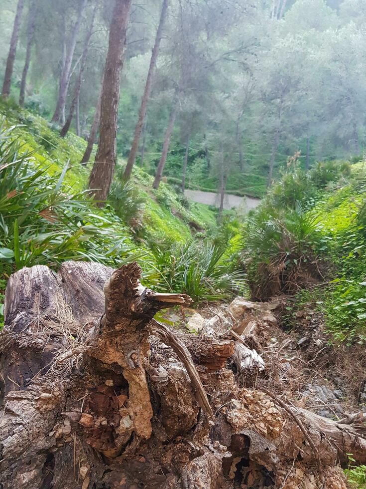 Ontdek de stil berg schoonheid in een adembenemend natuur foto