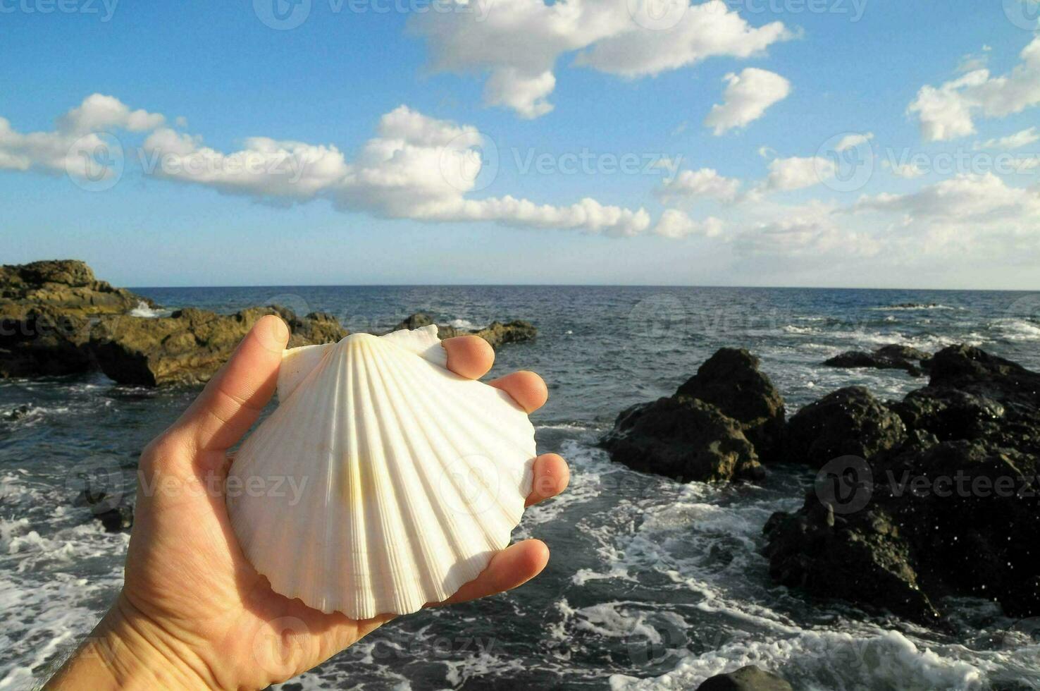 een persoon Holding een schelp in voorkant van de oceaan foto