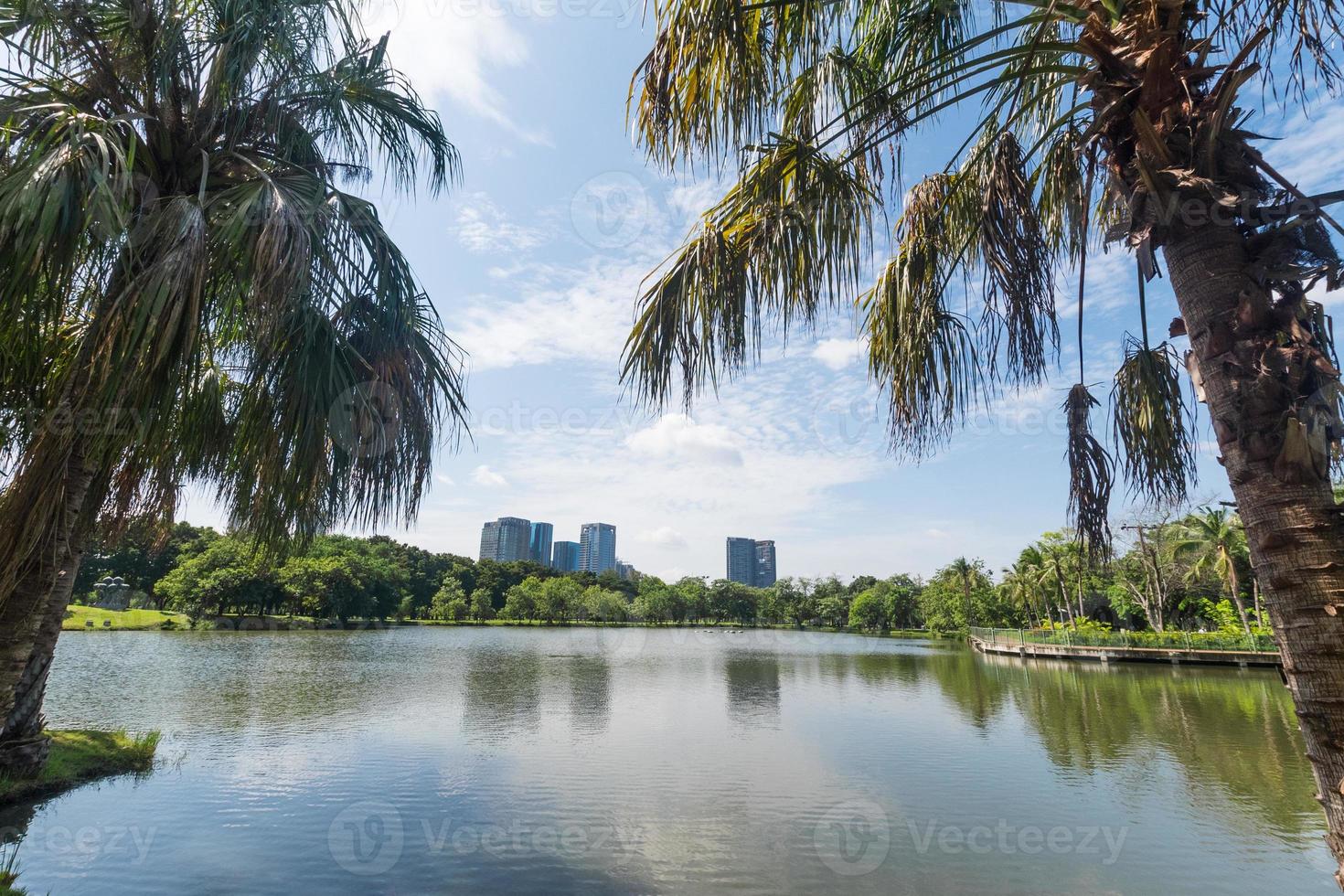 openbaar park in de grote stad. plaats en buiten concept foto