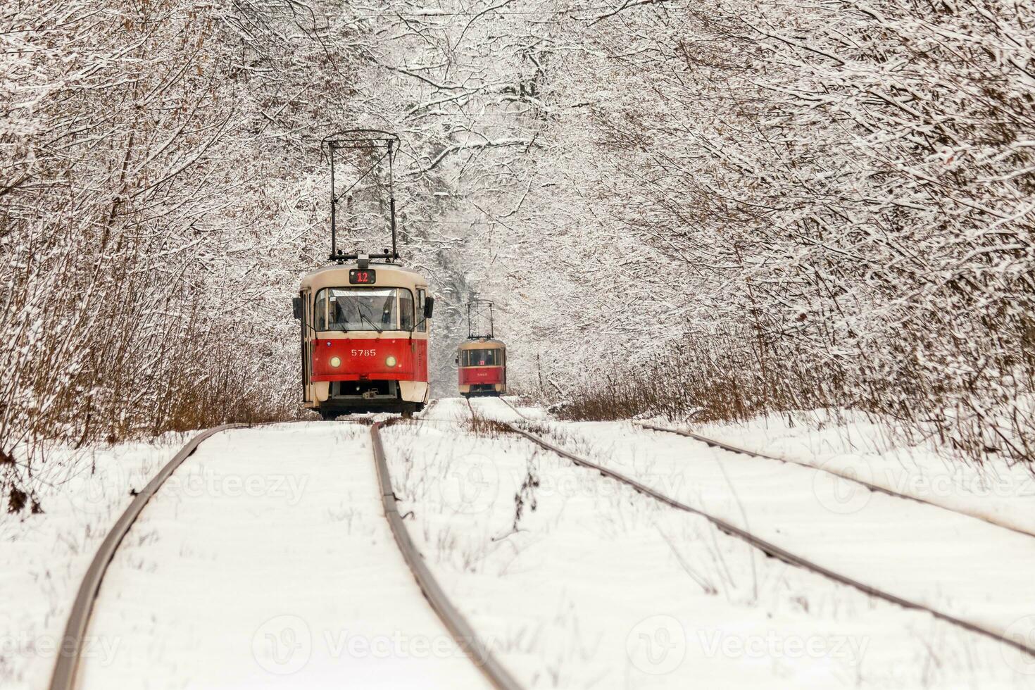 een oud tram in beweging door een winter Woud foto