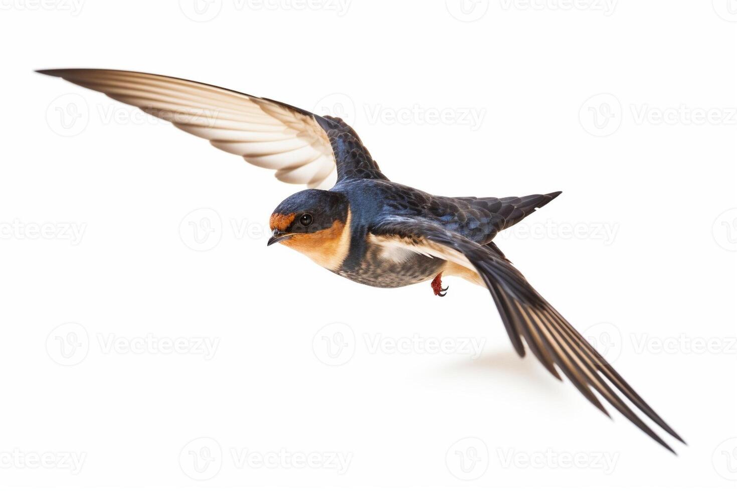 schuur slikken vliegend Vleugels verspreiding, vogel, hirundo rustiek, vliegend tegen wit achtergrond, generatief ai foto