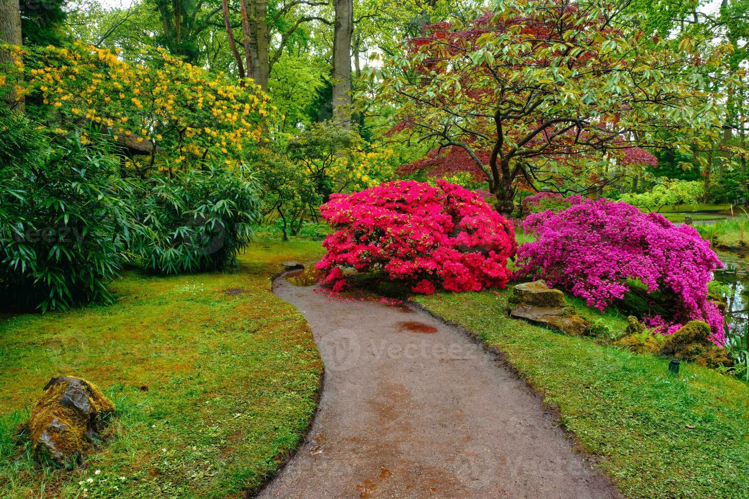 Japans tuin, park Clingendael, de Den Haag, Nederland foto