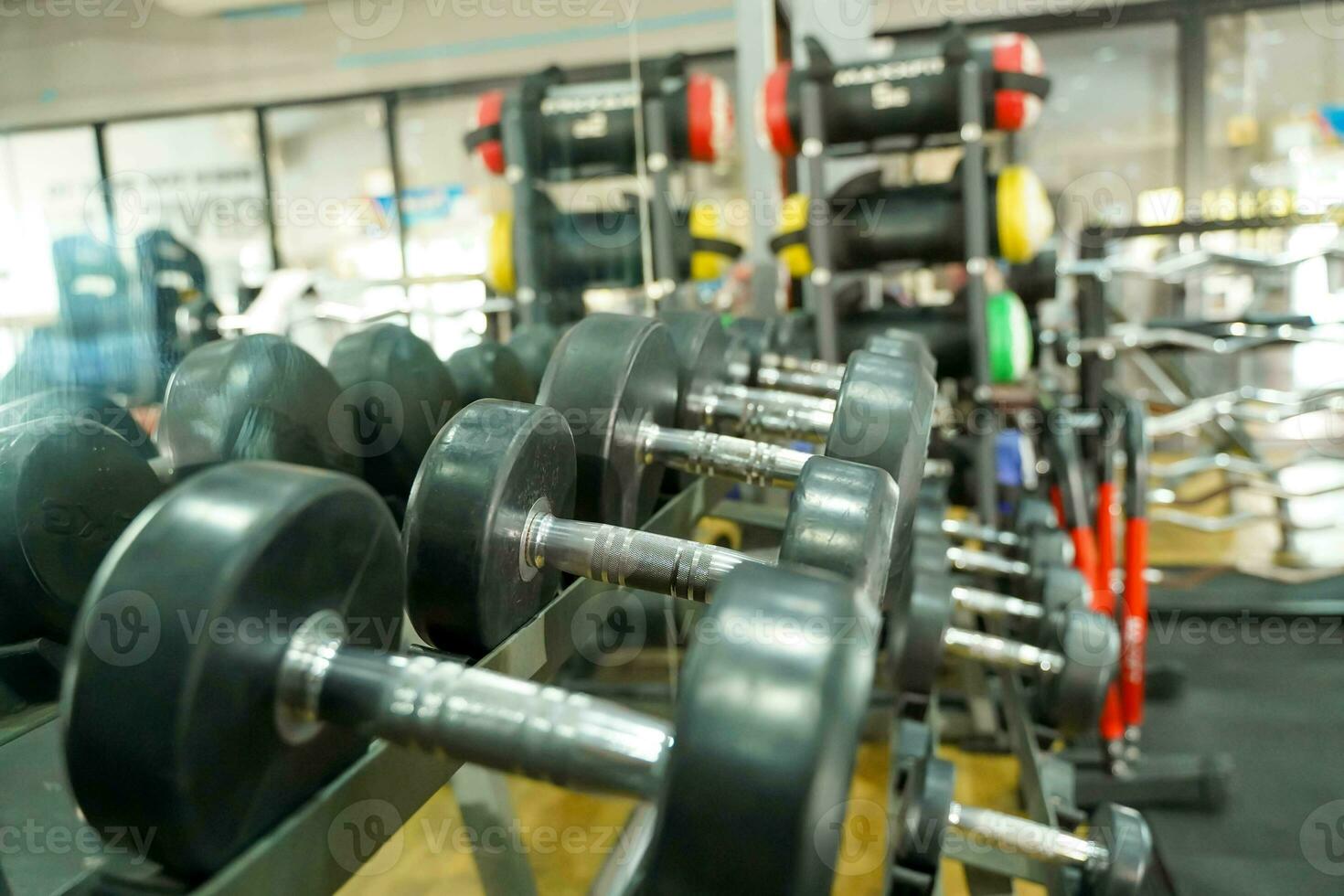 detailopname rijen van halters in de Sportschool foto