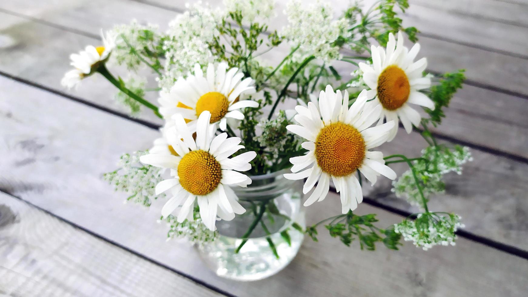 een boeket madeliefjes in een glazen vaas. witte madeliefjes in een pot close-up foto