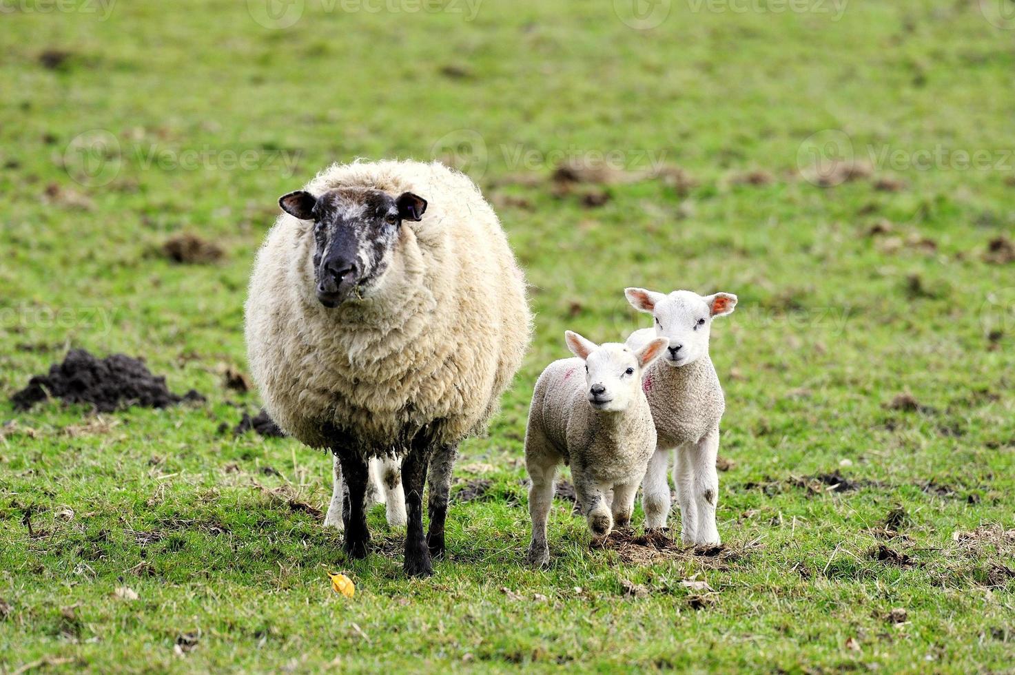 moeite om mama bij te houden foto