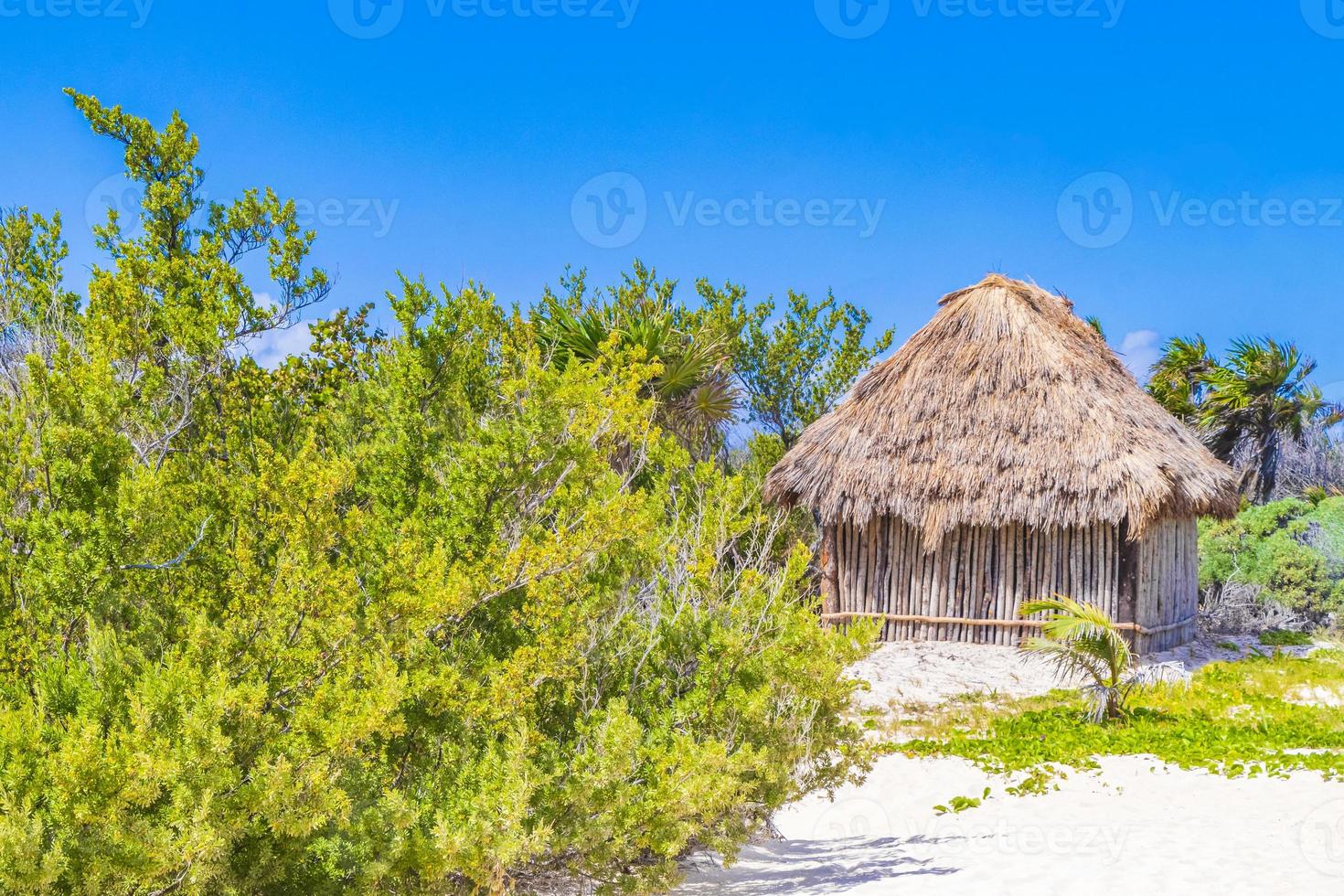 tropisch natuurlijk strand 88 met hut playa del carmen mexico. foto