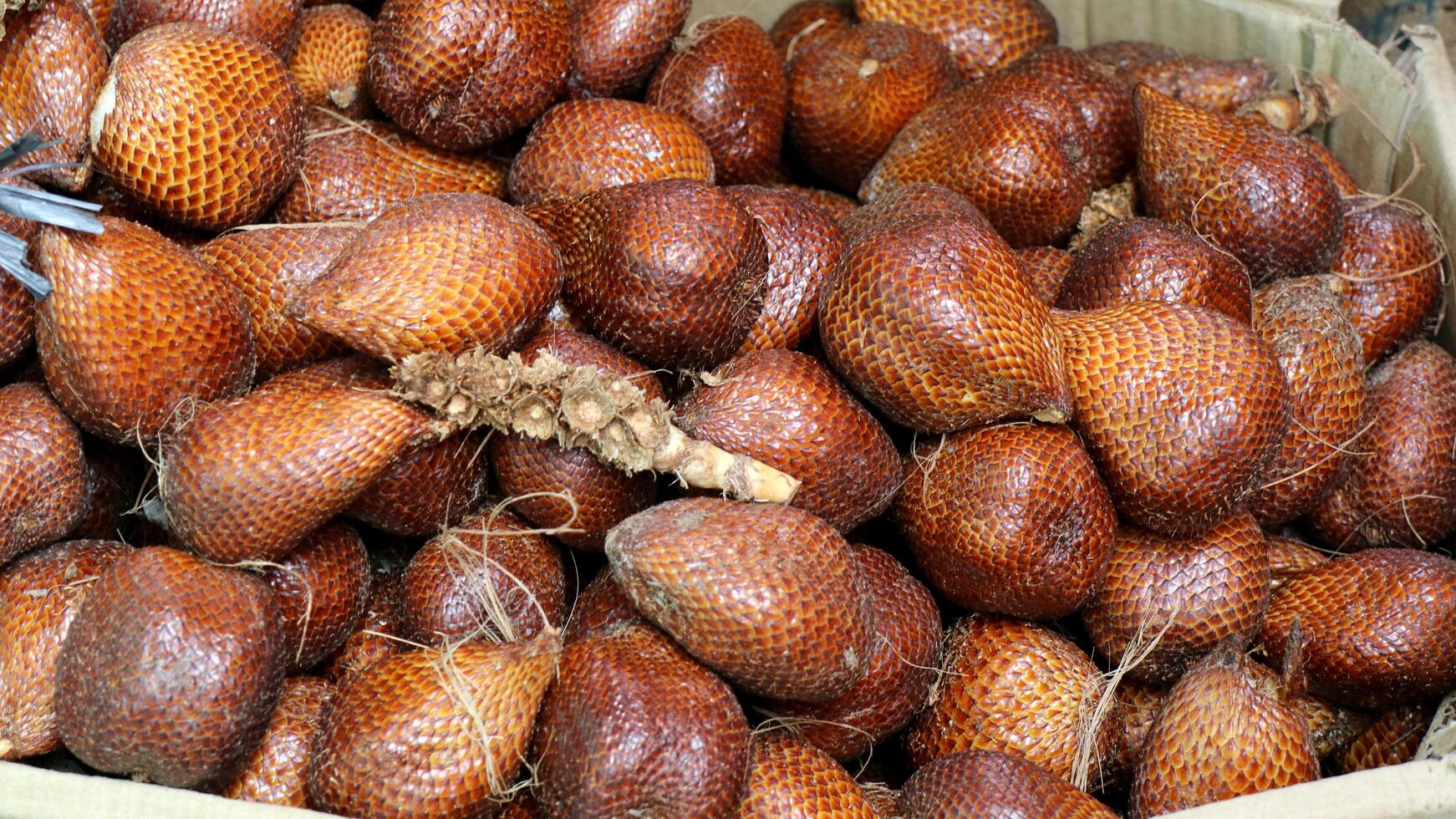 slangenfruit op traditionele markt foto