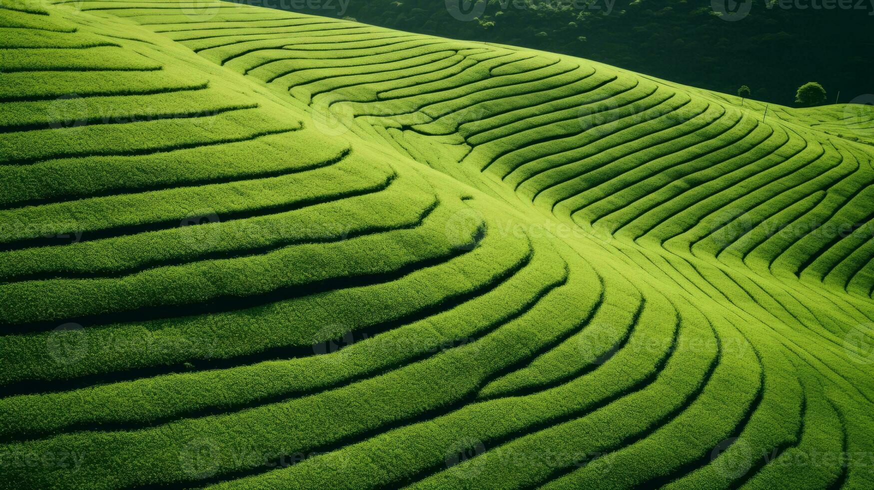 ai gegenereerd groen thee plantage, top visie structuur foto