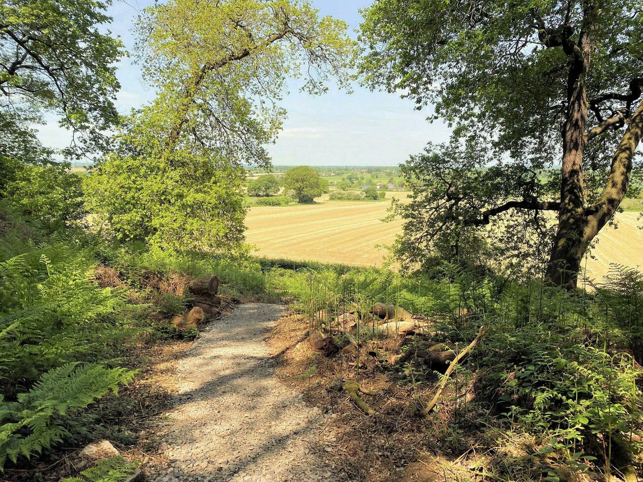 Cheshire in de uk in mei 2023. een visie van beeston kasteel Aan een zonnig dag foto