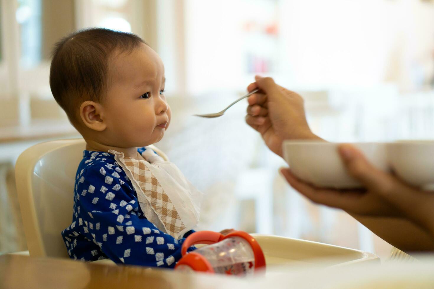 baby's zijn aan het eten voedsel in 6 maand jaar jarigen foto