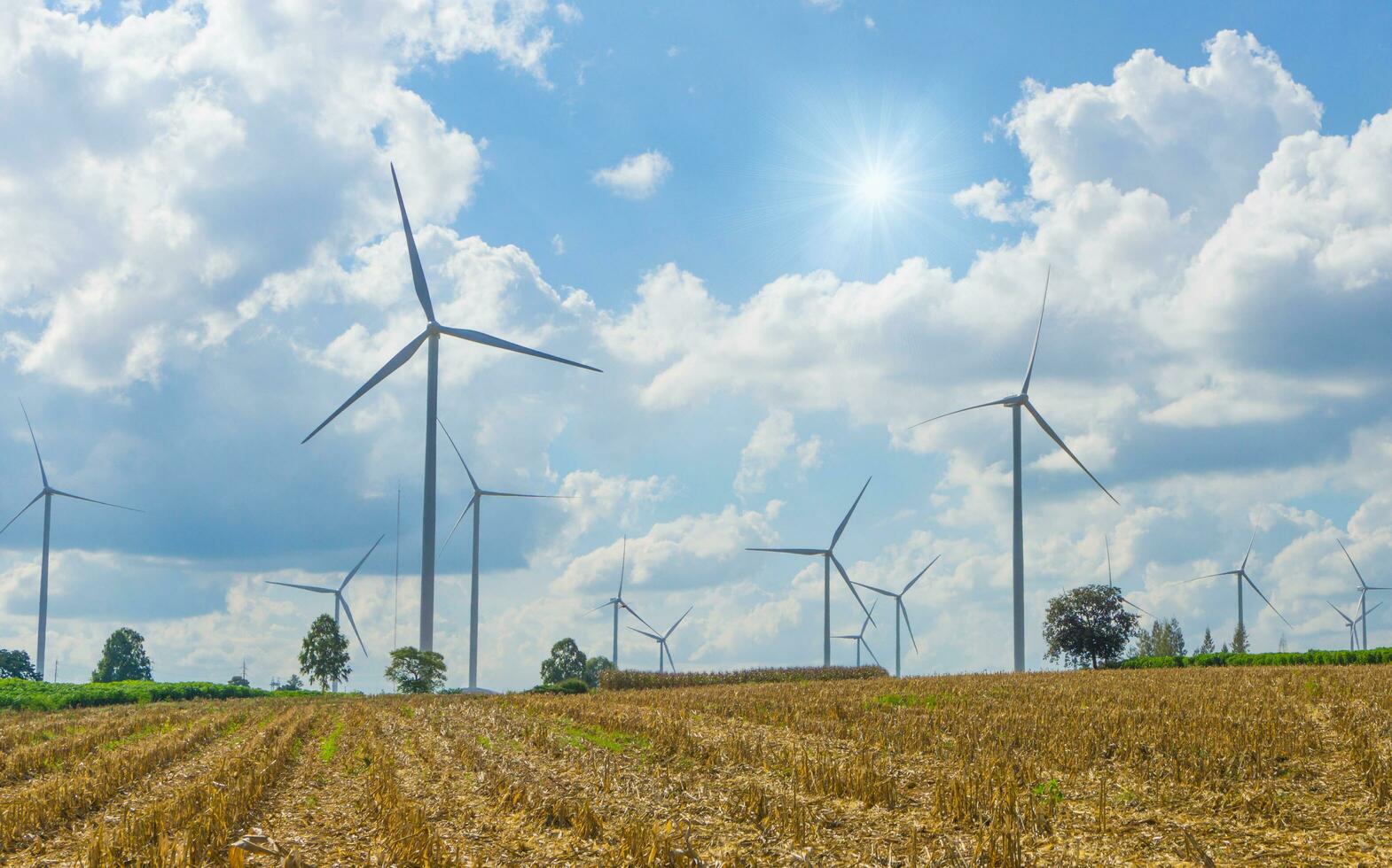 veel wind turbine in weide. foto