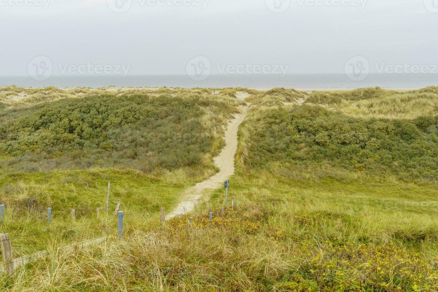 de eiland van wangerooge foto