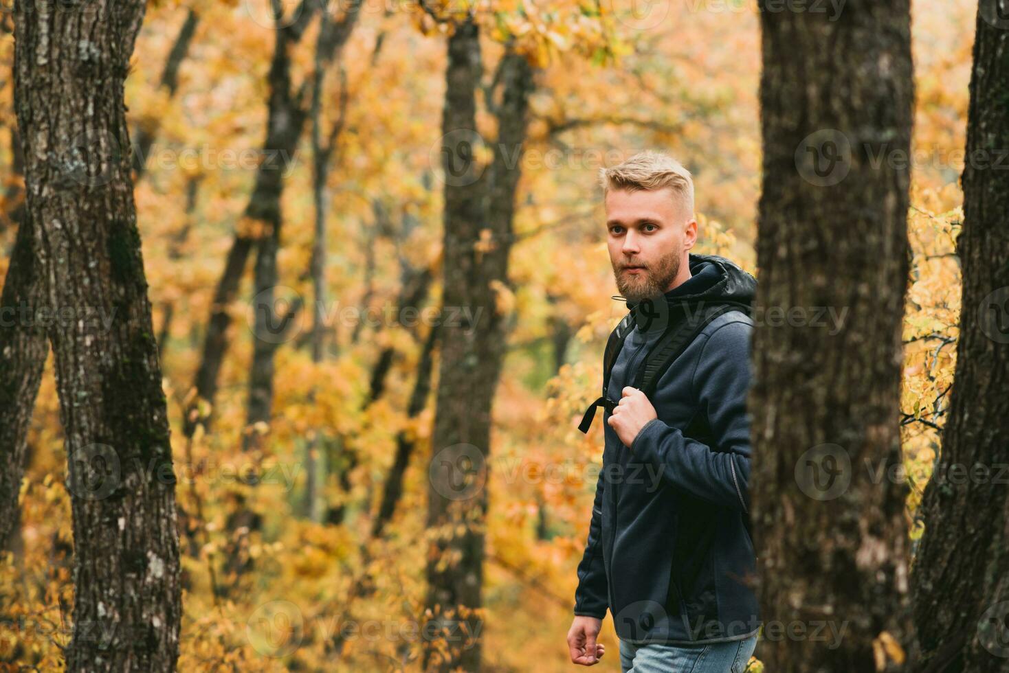 vent toerist wandelingen in een mistig herfst Woud foto