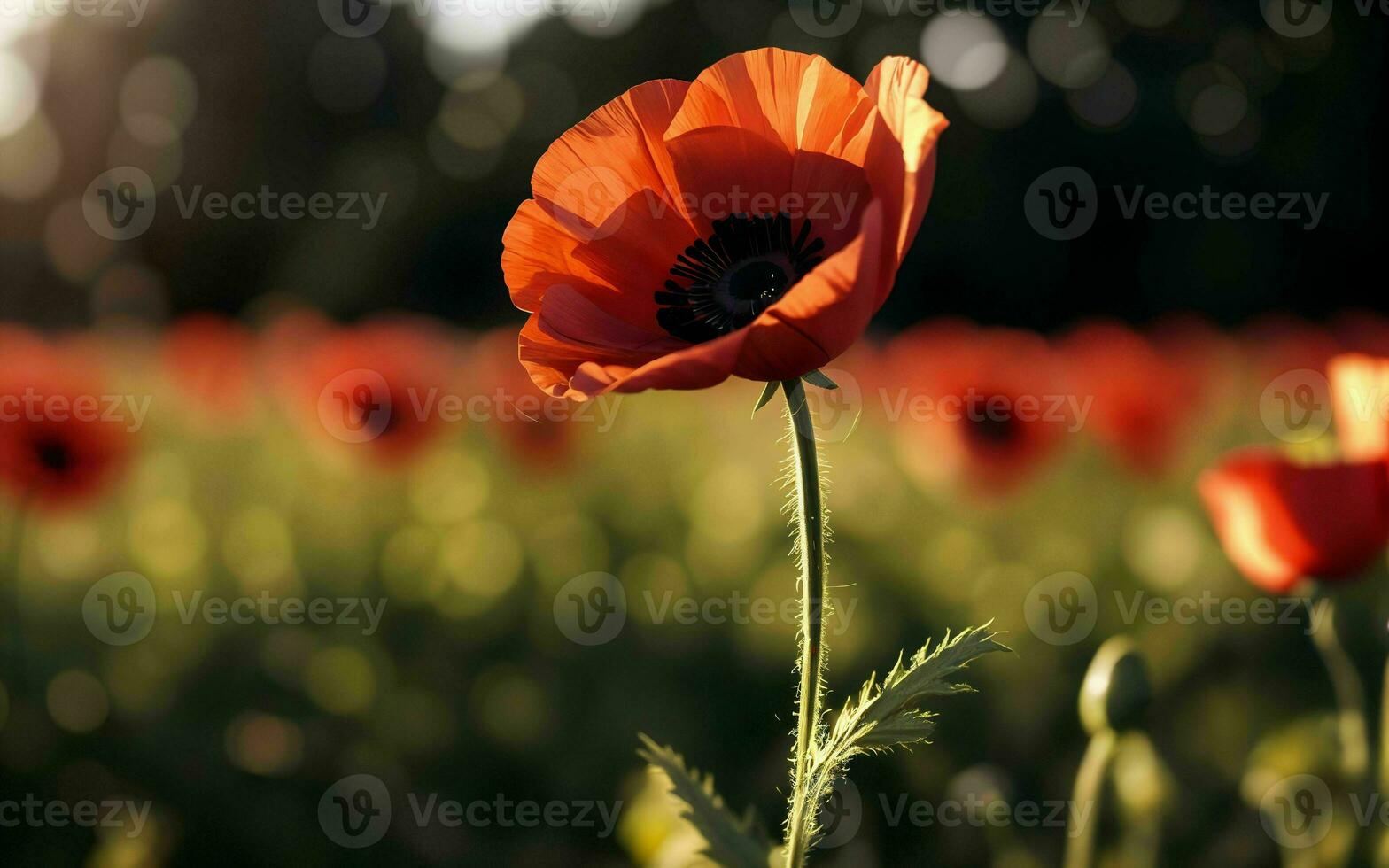 gestileerde rood papaver Aan zwart herinnering dag symbool ai gegenereerd foto