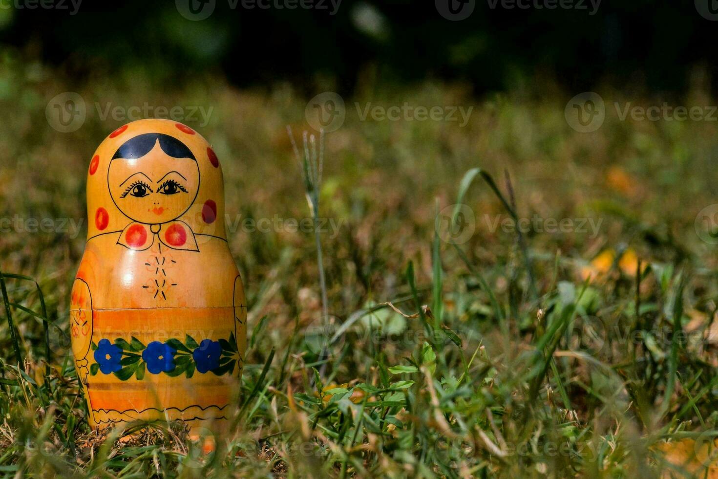 een Russisch pop zittend in de gras foto